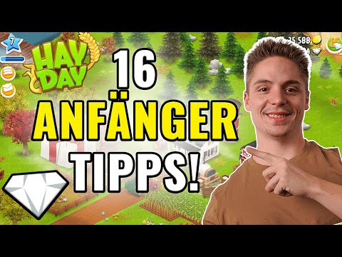 DIE 16 BESTEN TIPPS FÜR DEN ANFANG in HAY DAY 2025