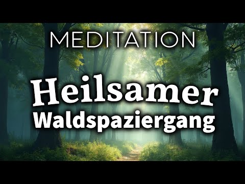 Geführte Gehmeditation für Wald-Spaziergänge & Wanderungen (432 hz)
