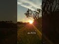 90s Love Bgm Tamil Love Whatsapp Status Mun Paniya Mudhal Malaiya Surya Love Bgm ️