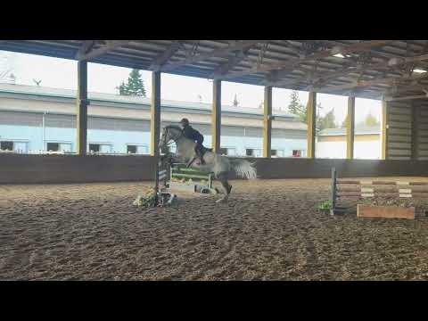 Colman WH video 2