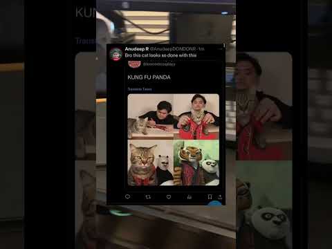 This cat hates the owner