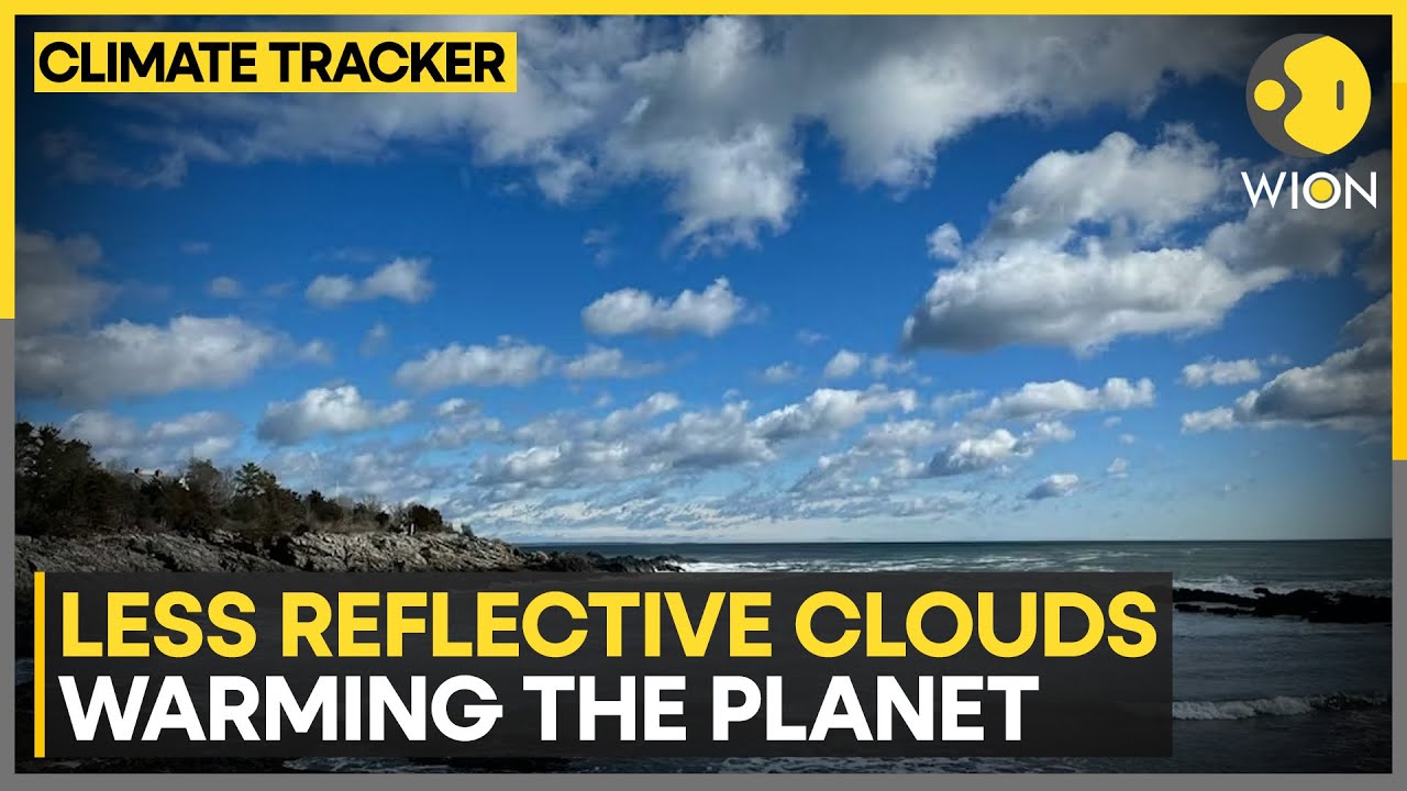 Study: Earth Absorbing More Solar Energy | WION Climate Tracker