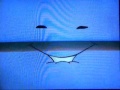 Nick Jr Face Compilation 1998 1999 2001 2004
