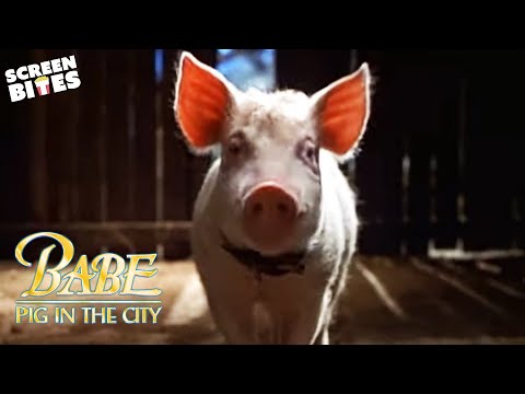 Babe: Pig in the City (1998) Official Trailer | Screen Bites