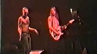 Alice In Chains - What The Hell Have I - Live At The Ahoy, Rotterdam 1993