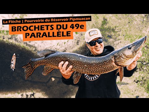 Northern Pike of the Pipmuacan Reservoir - La Flèche Outfitter | Roadfish - Season 9 Episode 5
