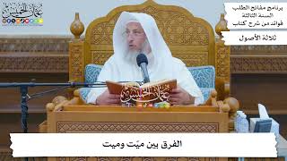 113 - الفرق بين ميّت وميت - عثمان الخميس