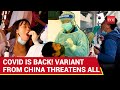 Covid Is Back U S Confirms New Chinese Variant Causing Surge Lockdown In America India Next