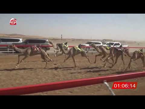   ش 24 (الباهي) لـ محمد سعيد جوعان الشامسي 2:16 , شارة الصندوق 2026/03/28 فطامين الروضة  