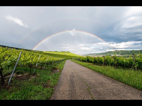 Ellwangers 5. Online-Weinprobe mit Top-Sommelier Evangelos Pattas und Sven Ellwanger