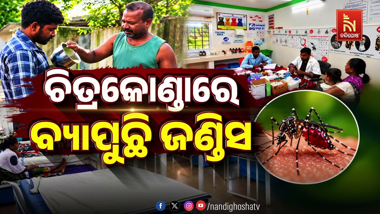 🔴Live | ଚିତ୍ରକୋଣ୍ତାରେ ବ୍ଯାପୁଛି ଜଣ୍ତିସ