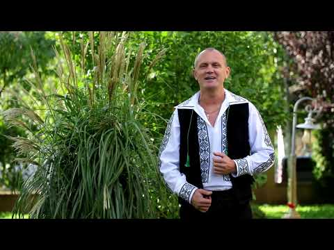 Bebe Dragomir   Mândră dor nestăvilit.