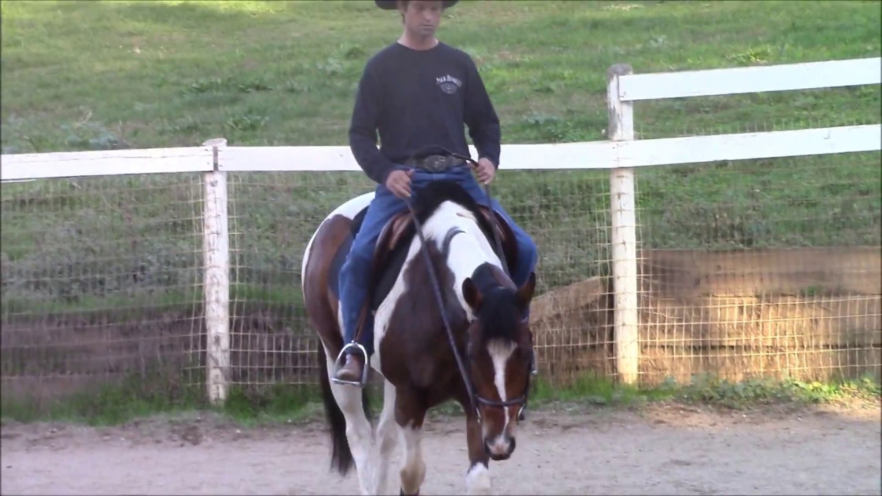 How To Relax The Scared Horse, Mike Hughes, Auburn California