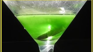 Putting a LIVE BULLET in ACID