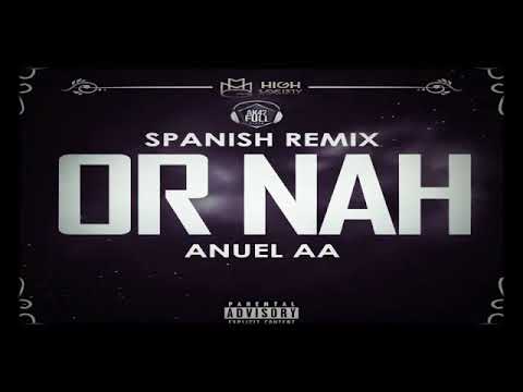Anuel AA - Nadie Es Intocable (Audio Oficial)
