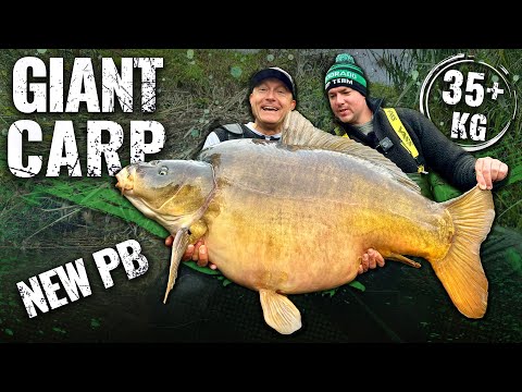 Döme Gábor - A 35+ kg feletti óriásponty története