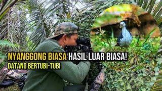 Download lagu Nyanggong Santai, Hasil Tak Disangka! Ruak-Ruak Datang Ramai-Ramai mp3 Download lagu Nyanggong Santai, Hasil Tak Disangka! Ruak-Ruak Datang Ramai-Ramai mp3