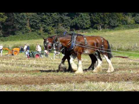 Surrey Country Fair & Ploughing Match - 11