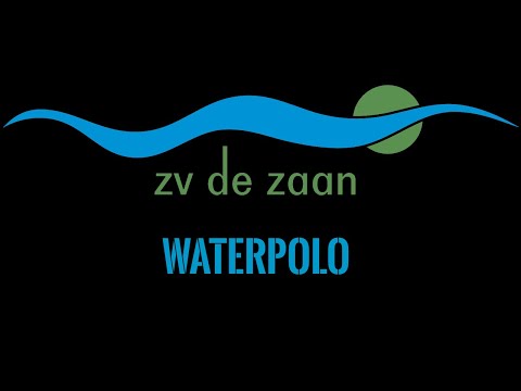 Play-off 2024 ZV de Zaan vs Polar Bears D1 finale 2