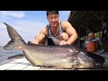 ボディビルダーの旅行記 タイ編 11/9 メコンオオナマズ 釣り堀