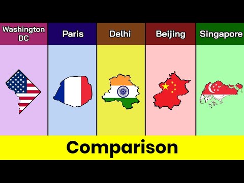 Washington DC vs Paris vs Delhi vs Beijing vs Singapore | city Comparison | Data Duck 2.o