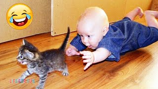 Смешные видео 2020 ● Смешные испуги людей и животных - приколы с котами и собаками, КОТЫ ПРИКОЛЫ #3