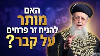 האם מותר להניח זר פרחים על קבר I מרן הראשון לציון הגאון רבי דוד יוסף שליט"א #הרב_דוד_יוסף #הלכה