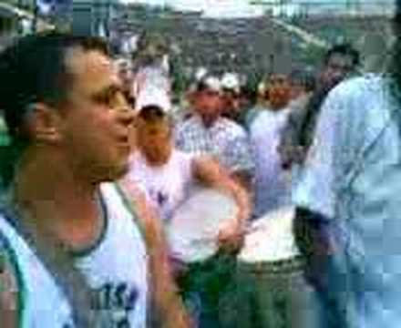 Mancha Verde - Cantando Samba Enredo No Estádio do Palestra