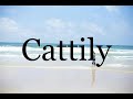 How To Pronounce Cattily🌈🌈🌈🌈🌈🌈Pronunciation Of Cattily
