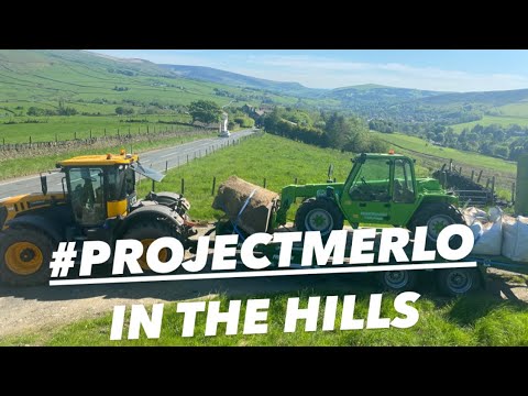 Day 434 #OLLYBLOGS DELIVERY DAY FOR #PROJECTMERLO QUICK LOOK AT NEW DEFENDER #AnswerAsAPercent