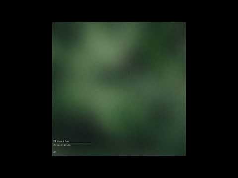 Dianthe - Ancient Beings