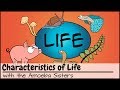 Characteristics of Life