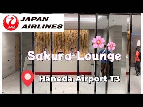JAL Sakura Lounge Haneda Aeroporto T3 / Sakura Lounge🌸