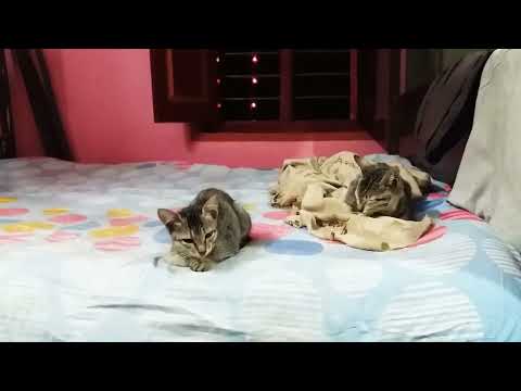 The hope of the Earth@dolanaretumidolanandyou5519