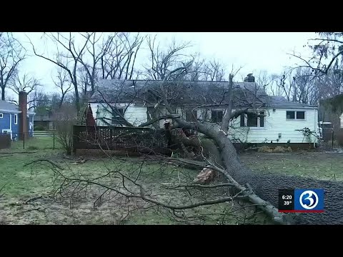 Large tree lands on house in Manchester