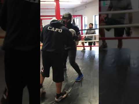 Dennis vs Shawn (rd3)