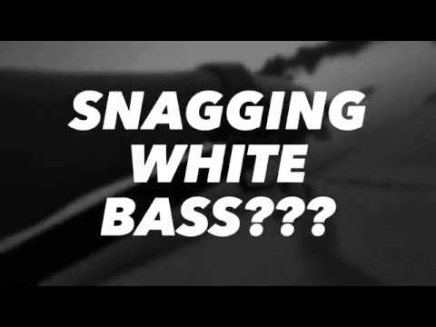 White bass lake Hefner???