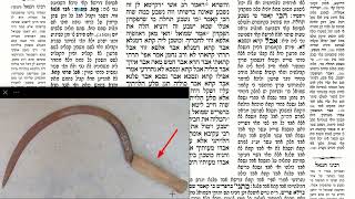 דף יומי מסכת שבועות דף מד Daf yomi Masechet Shevuot page 44  ע"י יוני גוטמן (שיעורי הדף היומי ב-20 דקות – מועבר ע"י ר' יוני גוטמן – לעילוי נשמת אביו ר' אלימלך צבי (צביקה) גוטמן ז"ל) - התמונה מוצגת ישירות מתוך אתר האינטרנט יוטיוב. זכויות היוצרים בתמונה שייכות ליוצרה. קישור קרדיט למקור התוכן נמצא בתוך דף הסרטון