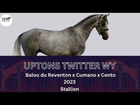 Uptons Twitter WY