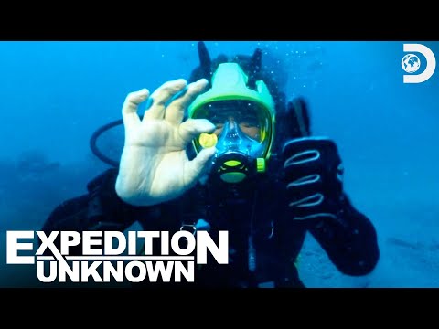 Finding $100,000 Worth of Gold Coins | Expedition Unknown