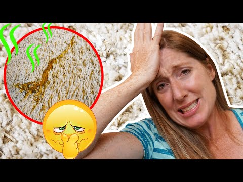 YouTube video about: How to sanitize carpet for baby?