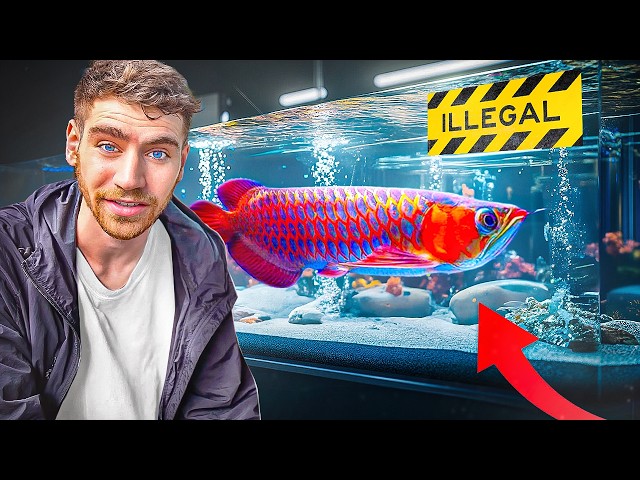 Inside Asia's *RICHEST* Exotic Pet Marketplace!! ... (Tour) $$$ SDDEFAULT Thumbnail