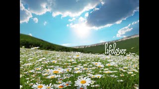 Lifelover - Kärlek - Becksvart Melankoli (Lyrics Video)