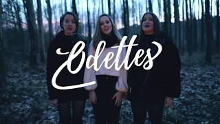 Sway - Odettes (Puppini Sisters cover)