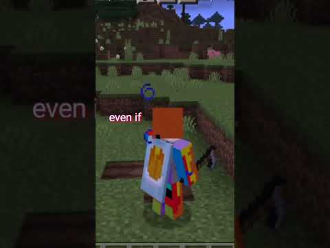 EPIC Minecraft parody of lovely song!