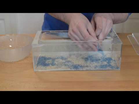 Ameisenfarm von Anthouse aus Spanien - Unboxing - Messor barbarus 🐜