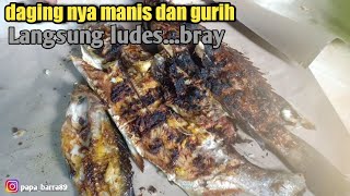 Download lagu bakar ikan hasil mancing bareng keluarga di rumah mp3