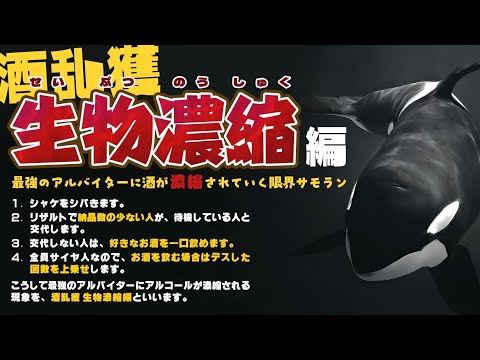 【コラボ】公式大会バチコンの事を雑談しながら酒乱獲!SPLABO、ろーだみん、えいみそ、参戦!【スプラトゥーン3/サモラン】