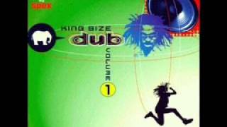 Dub Suite - Concious Dub (The Mix) - Molara Meets Zion Train