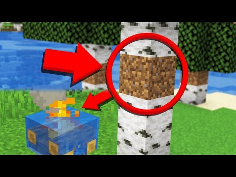 FoxIn Gaming - 6 Minecraft Glitches That You Don't Know | Part 2